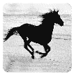 Black Horse